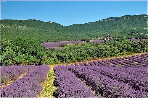 Les Gîtes du Devés Montjoux France